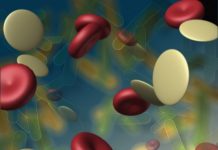 Totul despre trichomonas