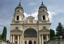 Mitropolia va taia copacii din fata Catedralei Mitropolitane