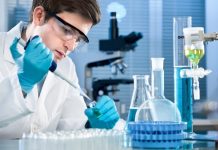 Au fost create ovule din celule stem