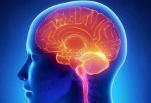 6 curiozitati ale creierului uman pe care cu siguranta nu le cunoasteti