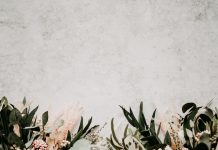 103 Citate Despre Flori