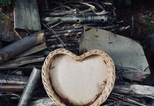 134 Citate Dragoste – Cele Mai Inspirationale Si Frumoase Citate