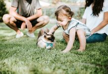 142 Citate Despre Familie Care iti Vor Transforma Viata