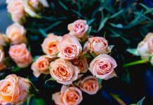 172 Mesaje De Condoleante