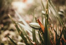 205 Citate Despre Incredere care sa te inspire in fiecare zi