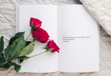 244 Citate De Dragoste – Maxime, Citate, Cugetari