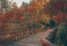 270 Citate Frumoase Citate scurte