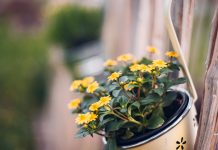 288 Citate Despre Viata Si Sentimente care sa te inspire in fiecare zi