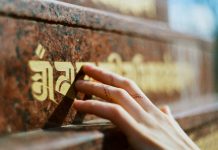 335 Citate Intelepte Inspirationale Si Motivationale