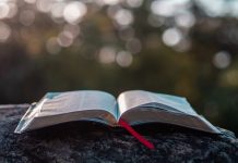 44 Citate Din Biblie