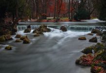 617 Citate In Limba Engleza – Maxime, Citate, Cugetari