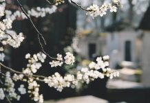 73 Mesaje De 1 Martie