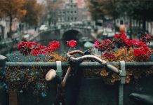 Amsterdam sau evadarea perfecta cu prietenii tai