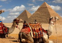 Egiptul, pamantul faraonilor