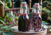 Sirop de soc: beneficii, precautii si preparare