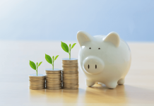 Diferenta dintre economisire si investitie: Afla acum care este