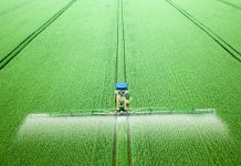 Ce este un adjuvant și cum îmbunătățește eficiența tratamentelor în horticultură?