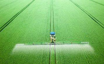 Ce este un adjuvant și cum îmbunătățește eficiența tratamentelor în horticultură?
